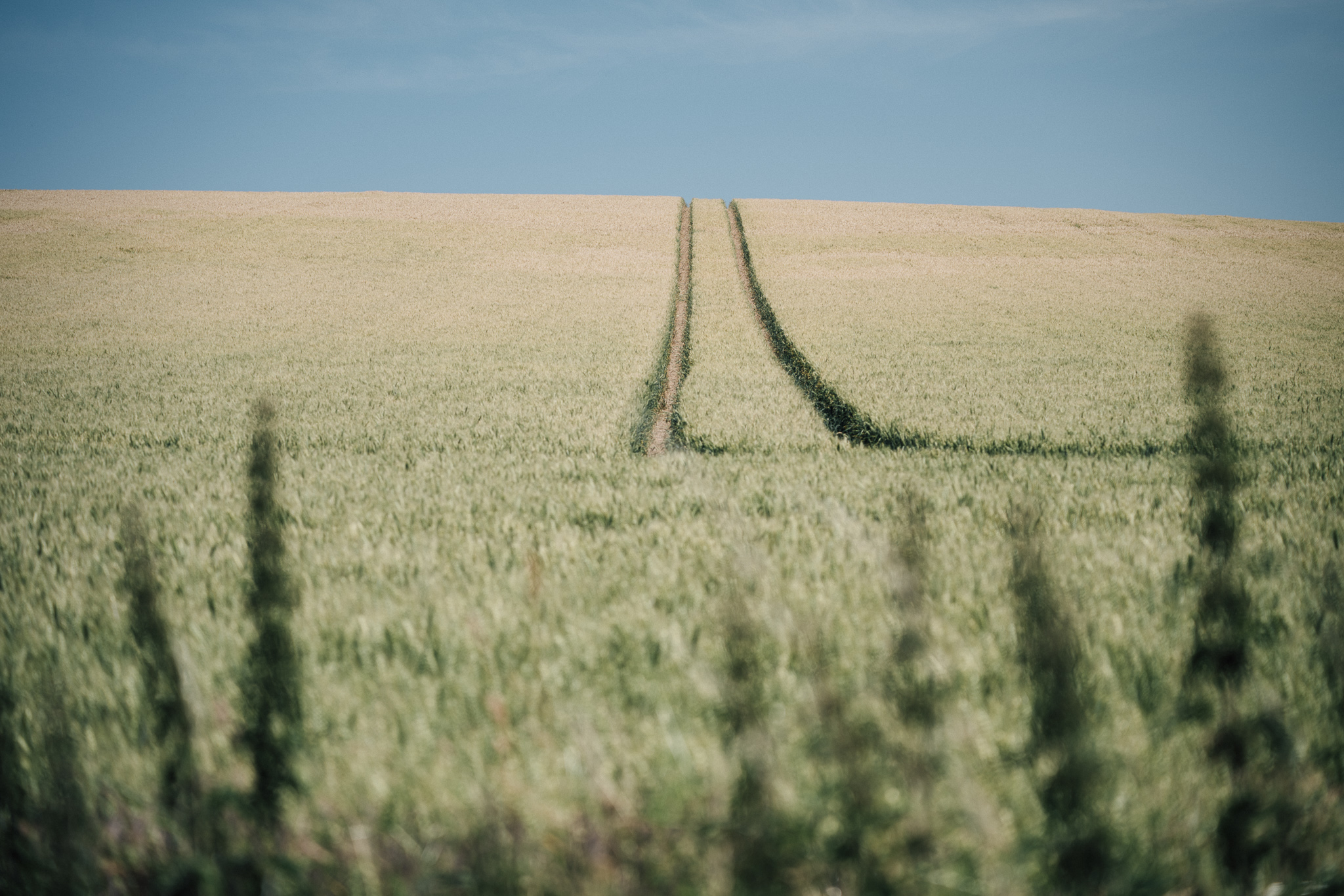 Feld mit Fahrspuren, die in den Horizont führen, unter klarem Himmel.