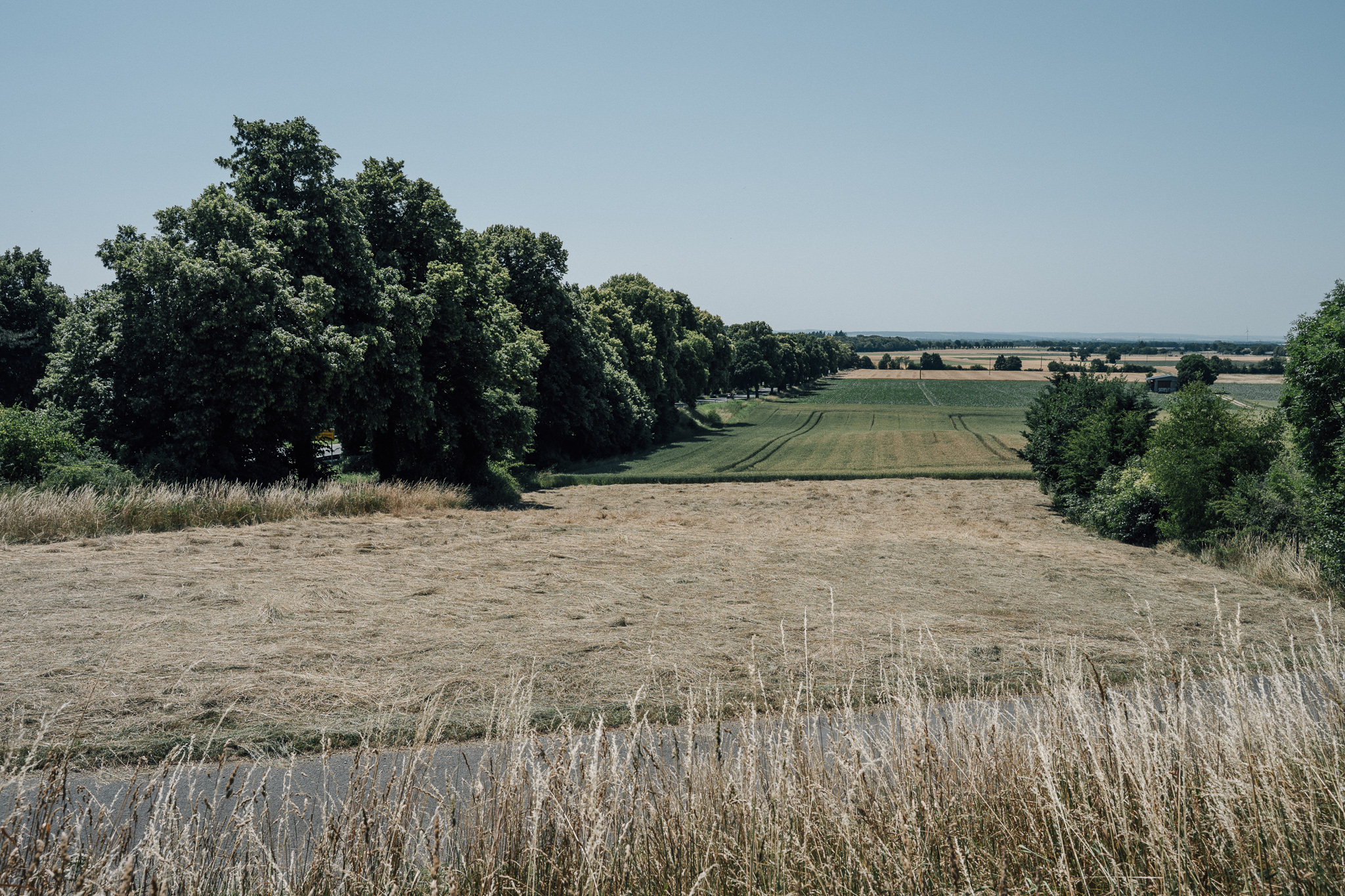 Blick über eine ländliche Landschaft mit Feldern, Wiesen und Baumreihen an einem sonnigen Tag.